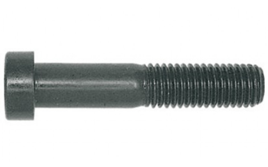 Zylinderschraube DIN 6912 - 010.9 - blank - M6 X 10